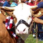 Ministarstvo poljoprivrede na Poljoprivrednom sajmu