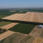 Vraćeno u posed države 700 hektara poljoprivrednog zemljišta u Sirigu i Čeneju