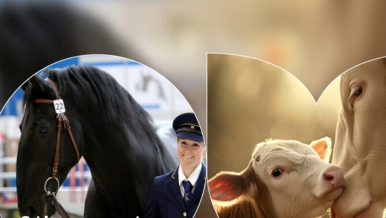 ODGAJIVAČI TOVNIH RASA GOVEDA IZ SRBIJE NA POLJOPRIVREDNOM SAJMU U BRNU