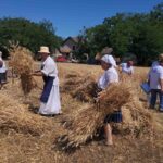 AGROSERVIS ISTRAŽUJE: KOJA ĆE I KADA BITI SAOPŠTENA PRVA CENA PŠENICE OVOGODIŠNJEG RODA