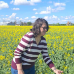 Uljana repica će imati dobru cenu