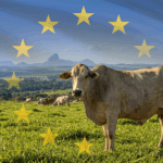 Rampa iz Brisela: Evropska unija od septembra potpuno blokira uvoz mesa iz Brazila