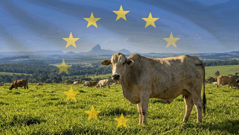 Rampa iz Brisela: Evropska unija od septembra potpuno blokira uvoz mesa iz Brazila