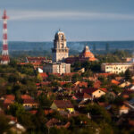 Pomor ribe u Tisi kod Sente