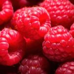 Zašto Srbija više nije lider u proizvodnji maline
