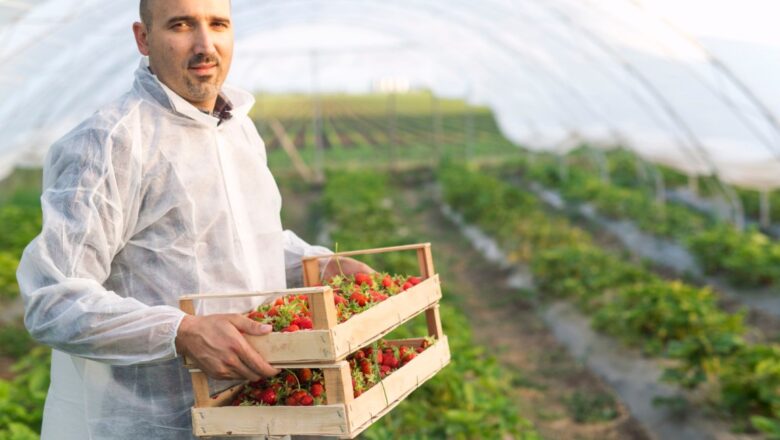 NOVA PRAVILA ZA ORGANSKU PROIZVODNJU: Počela primena zakona, strože kontrole i apsolutna zabrana GMO