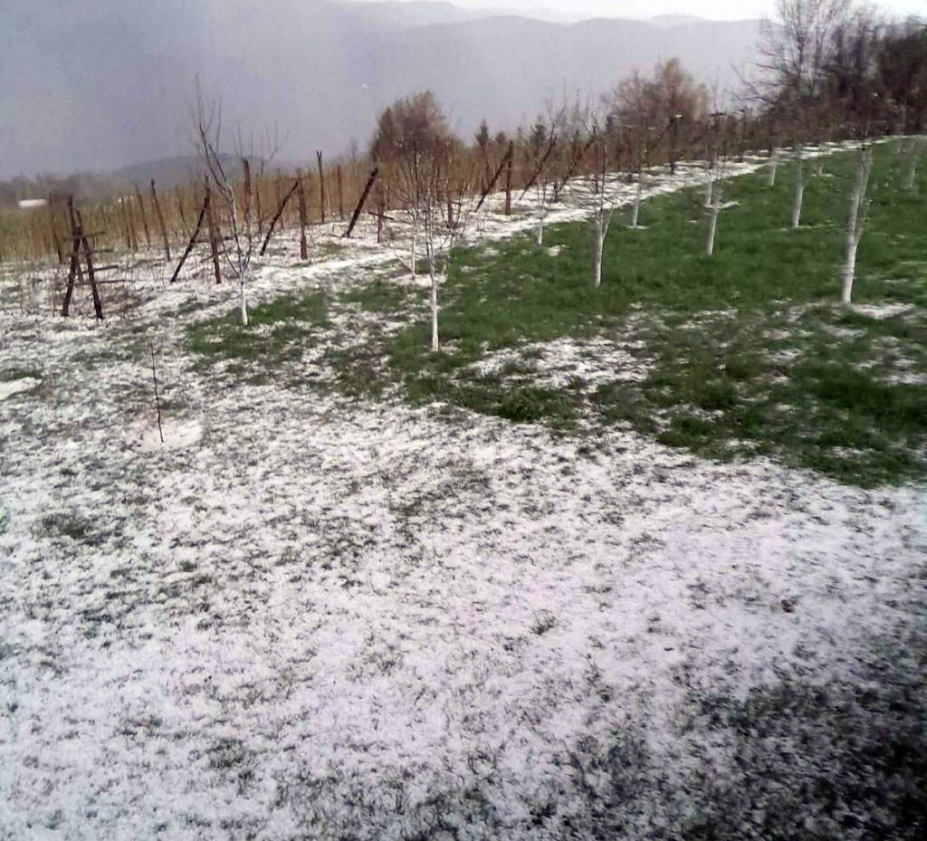 Jako nevreme pogodilo Čačak, krupan grad “tukao” u Prijevoru: Dvorišta obelela za samo nekoliko minuta