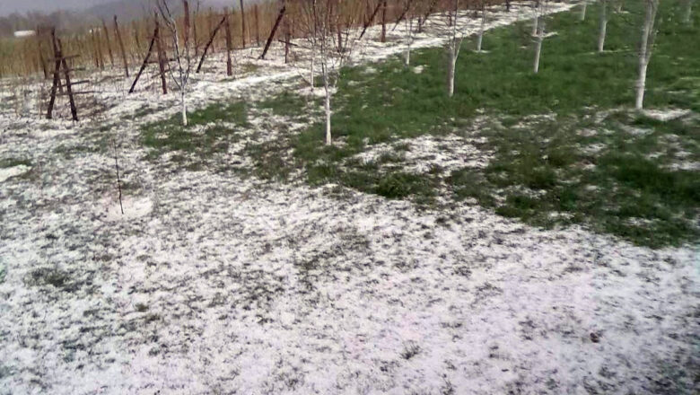 Jako nevreme pogodilo Čačak, krupan grad “tukao” u Prijevoru: Dvorišta obelela za samo nekoliko minuta