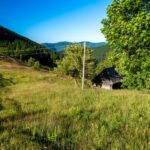 IZBLIZA: I VUKOVI ĆE DA POBEGNU!