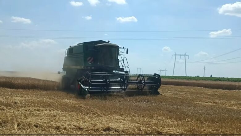 Žetva ječma u Svetozaru Miletiću: prinosi dobri, cena još neizvesna VIDEO
