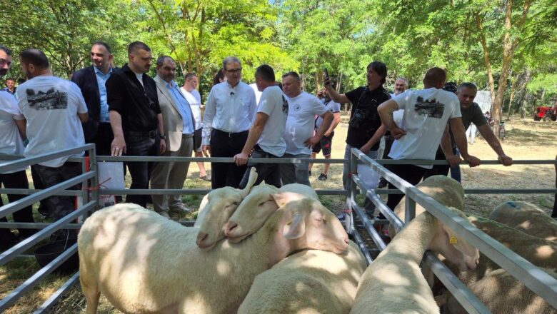 Glamočić poručio: Bez jakog stočarstva nema razvoja poljoprivrede