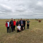 Udruženje „Agroprofit”: Farmeri iz Turske traže tovljače goveda u Srbiji