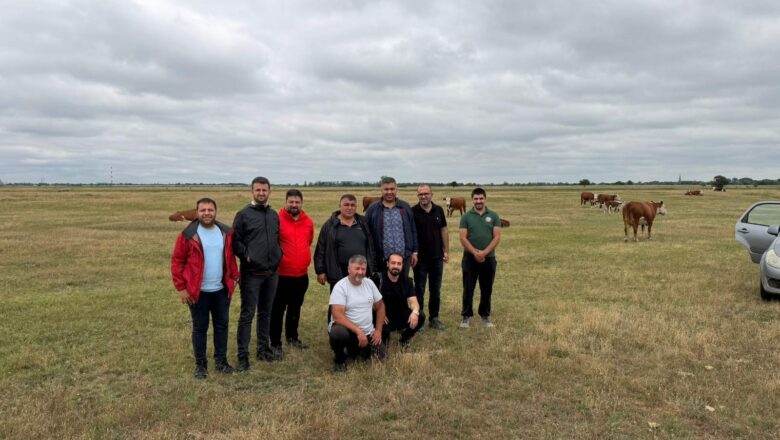 Udruženje „Agroprofit”: Farmeri iz Turske traže tovljače goveda u Srbiji