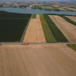 Manje rascepkanih njiva, bolji putevi i navodnjavanje: Srbija sprema novi zakon o komasaciji zemljišta
