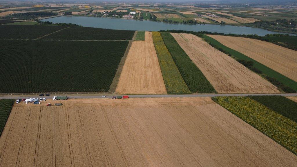 Manje rascepkanih njiva, bolji putevi i navodnjavanje: Srbija sprema novi zakon o komasaciji zemljišta