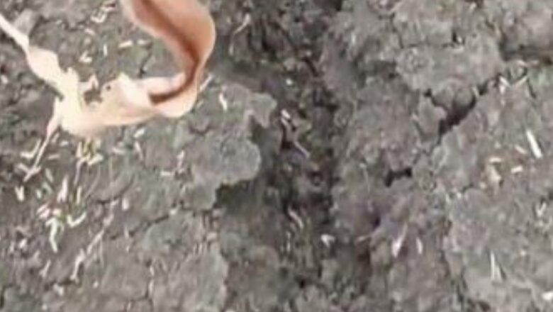 Zemlja puca od suše: prizor iz atara kod Mokrina