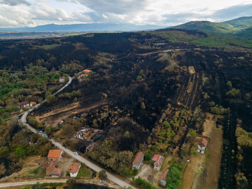 Zbog toplotnog talasa do 40 stepeni Ministarstvo upozorava na opasnost od šumskih požara