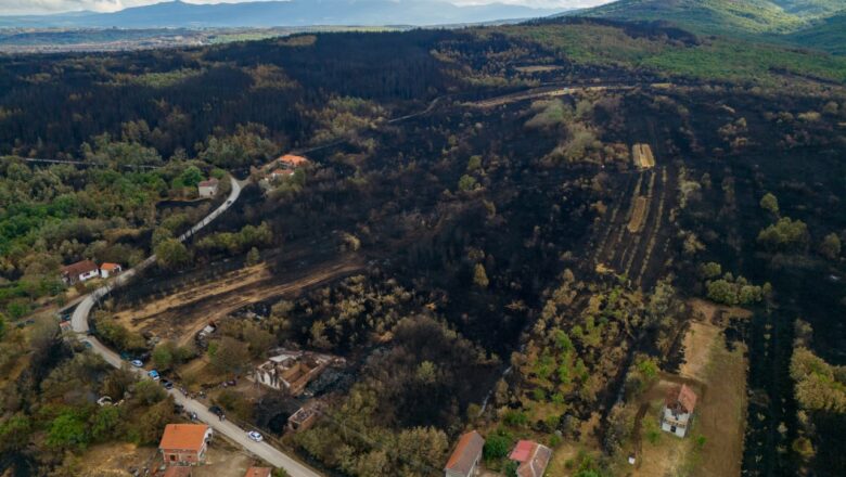 Zbog toplotnog talasa do 40 stepeni Ministarstvo upozorava na opasnost od šumskih požara