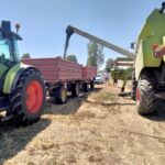 Žetva suncokreta krenula, ali računice još nema