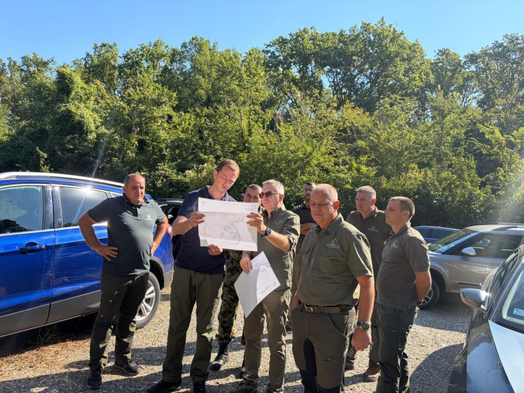 Afrička kuga svinja: Stroge mere u šumama i lovištima Srema