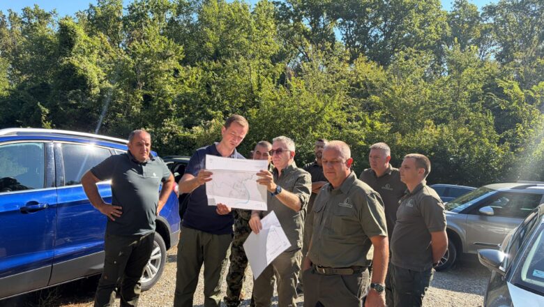 Afrička kuga svinja: Stroge mere u šumama i lovištima Srema