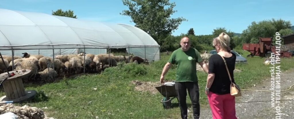 OD ODBAČENE OVČIJE VUNE DO VRIJEDNOG ĐUBRIVA -VIDEO