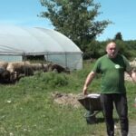 OD ODBAČENE OVČIJE VUNE DO VRIJEDNOG ĐUBRIVA -VIDEO