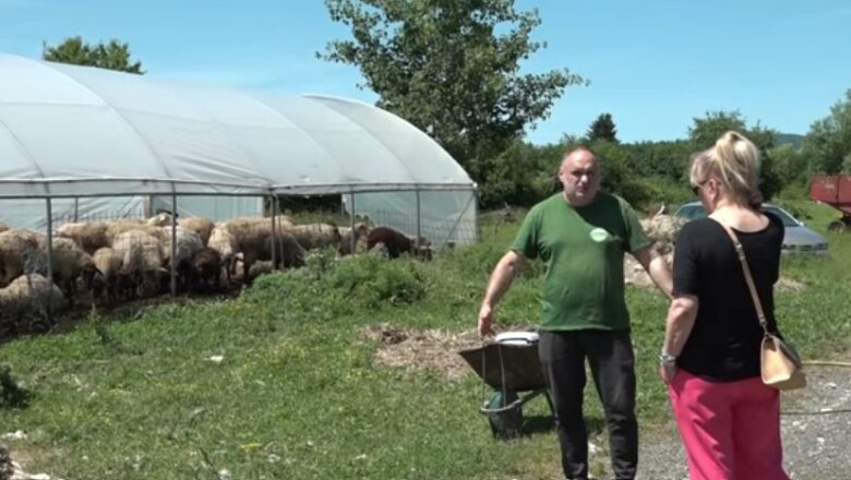 OD ODBAČENE OVČIJE VUNE DO VRIJEDNOG ĐUBRIVA -VIDEO