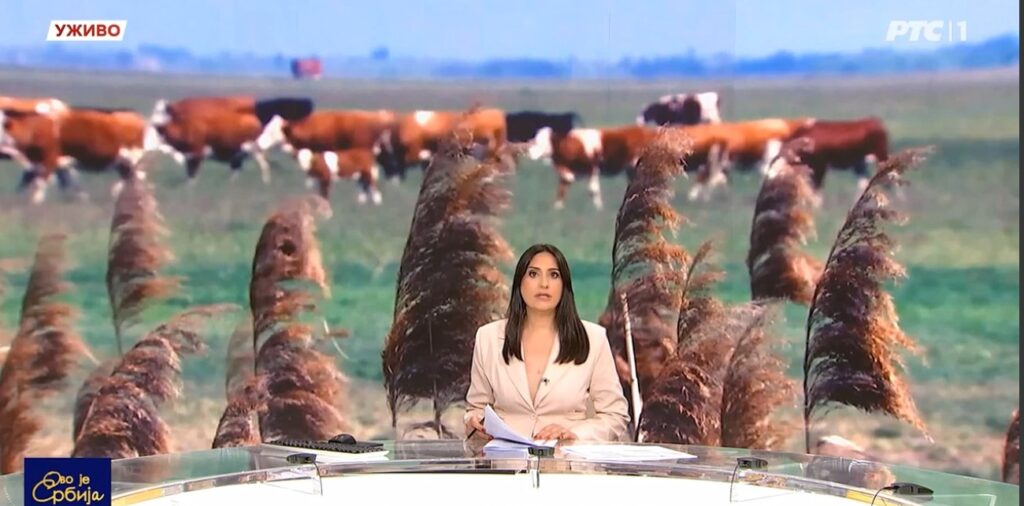 STOČARI O PAŠNJACIMA – VIDEO