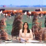 STOČARI O PAŠNJACIMA – VIDEO