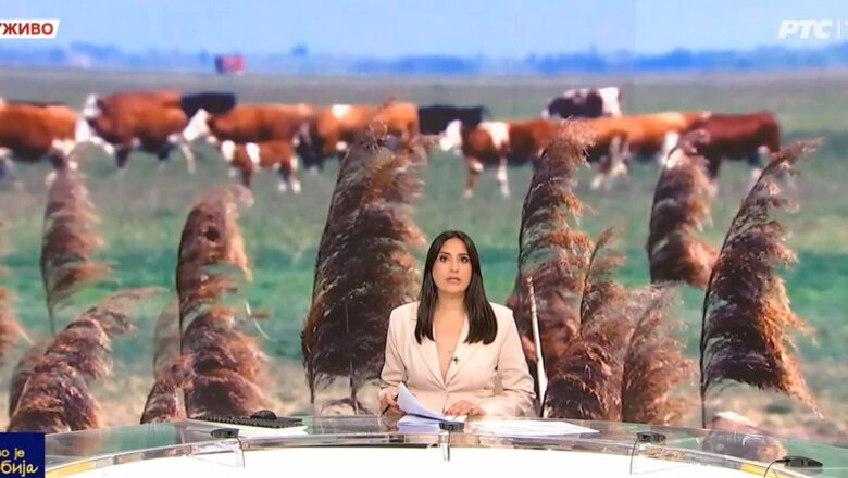 STOČARI O PAŠNJACIMA – VIDEO