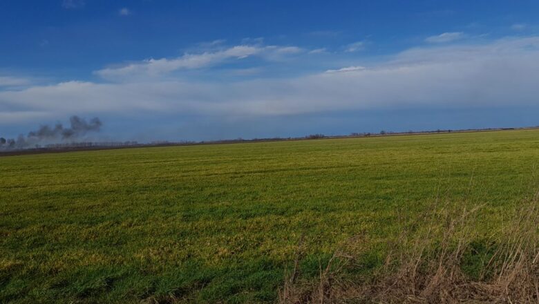 NIŠTA NOVO U BANATU: LOKALNA VLAST ŠTITI UZURPATORE PAŠNJAKA